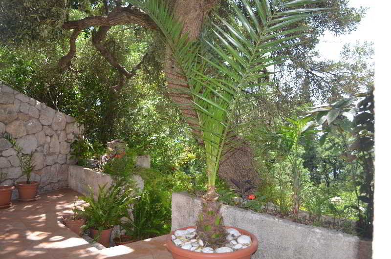 Apartments Martiva Dubrovnik Exterior foto